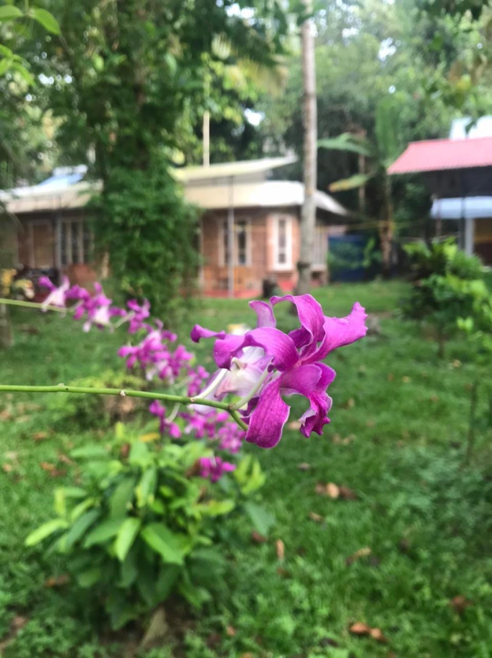Ashtamudivillas Kollam Eksteriør bilde